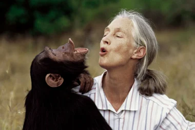Mort de Jane Goodall - les détails émouvants de ses dernières heures révélés