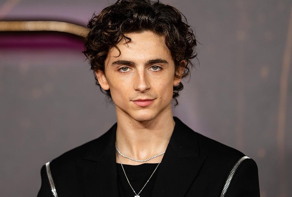 « White Boy of the Year » - Timothée Chalamet reçoit un prix aussi insolite qu’inattendu