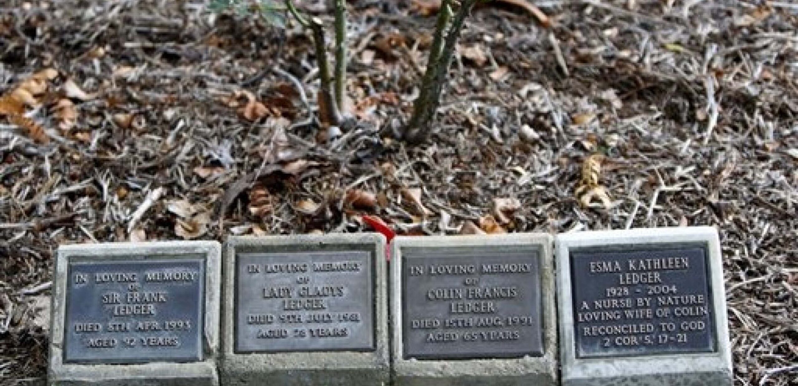 Que Retenir Rapidement ? Suite