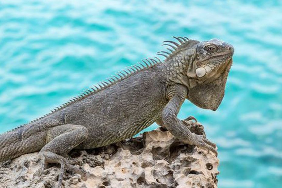 5D95B3C8E4C5E_024_2309902