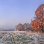 Fraîcheur automnale et orages persistants : la France coupée en deux ce mercredi