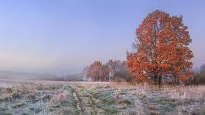 Fraîcheur automnale et orages persistants : la France coupée en deux ce mercredi