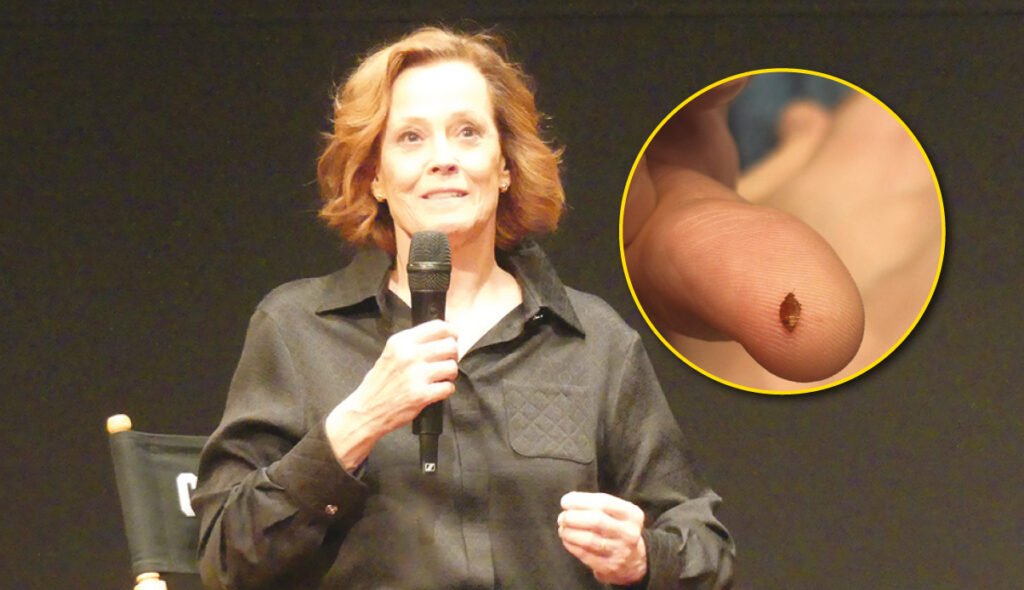 Insolite - Des punaises de lit envahissent la salle lors d'une projection d'Alien à Paris, en présence de Sigourney Weaver. (DR)