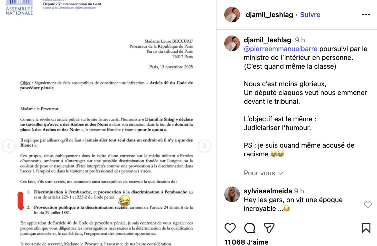 Que Dit L’article Sur Djamil Le Shlag Visé Par Un Signalement Du Député Alexandre Allegret-Pilot Pour Discrimination À L’Embauche Et Raçisme ?