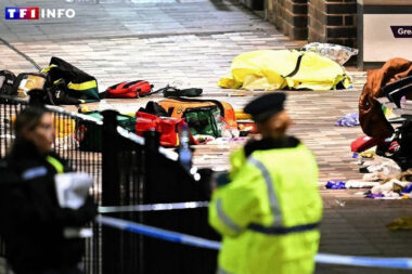 Attaque au couteau dans un train au Royaume-Uni: l'un des suspects, Anthony Williams, inculpé de dix tentatives de meurtre