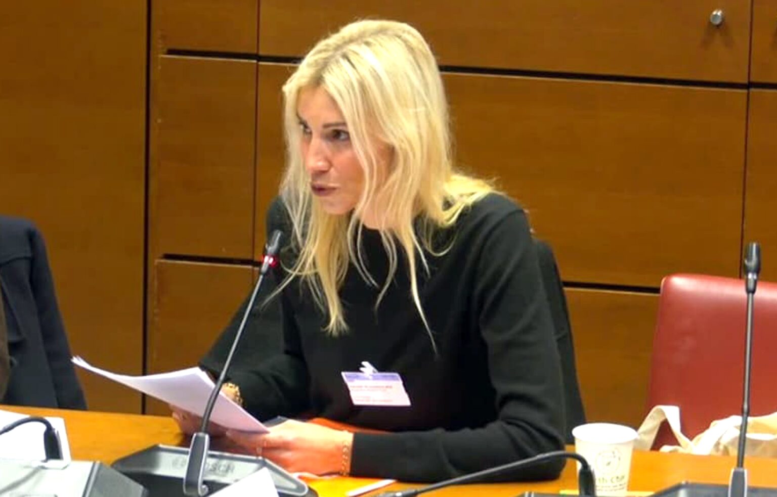 "Il tapait dans les murs, il m’a fracturé le nez." L'ex-Miss France Alexandra Rosenfeld raconte aux députés ce que Jean Imbert lui a fait subir. (DR)