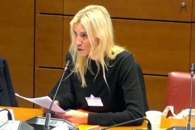 "Il tapait dans les murs, il m’a fracturé le nez." L'ex-Miss France Alexandra Rosenfeld raconte aux députés ce que Jean Imbert lui a fait subir