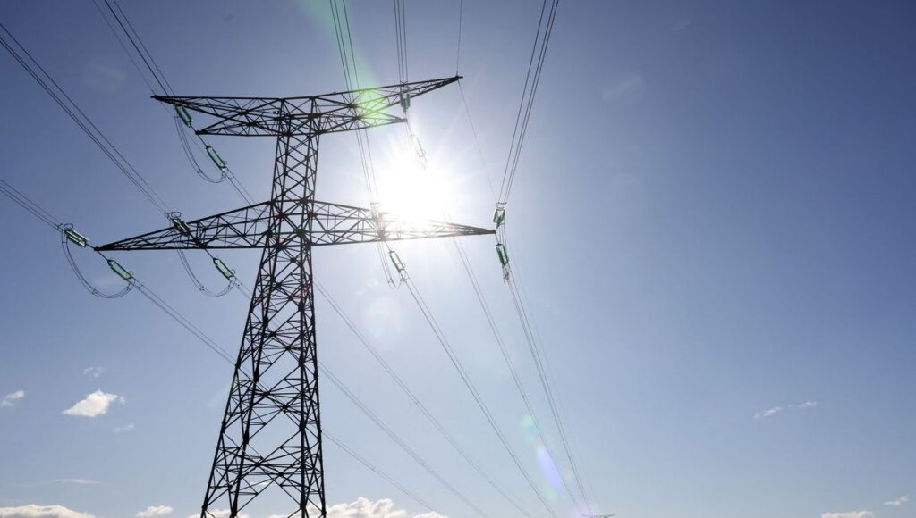 Camargue, une ligne électrique contestée malgré les alertes sur les oiseaux protégés