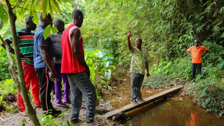 Ghana : face à l’explosion de l’orpaillage illégal, les habitants de Jema s’organisent en patrouilles citoyennes