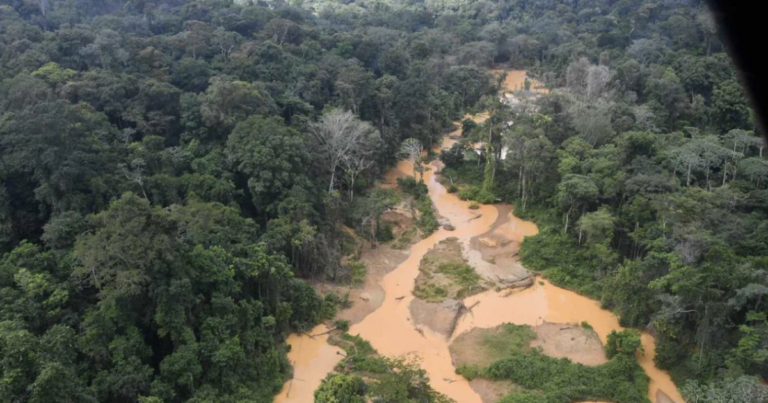 Guyane : un chasseur alpin meurt en mission lors d’une opération contre l’orpaillage illégal