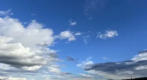 Une journée d’une douceur exceptionnelle malgré un vent parfois très fort