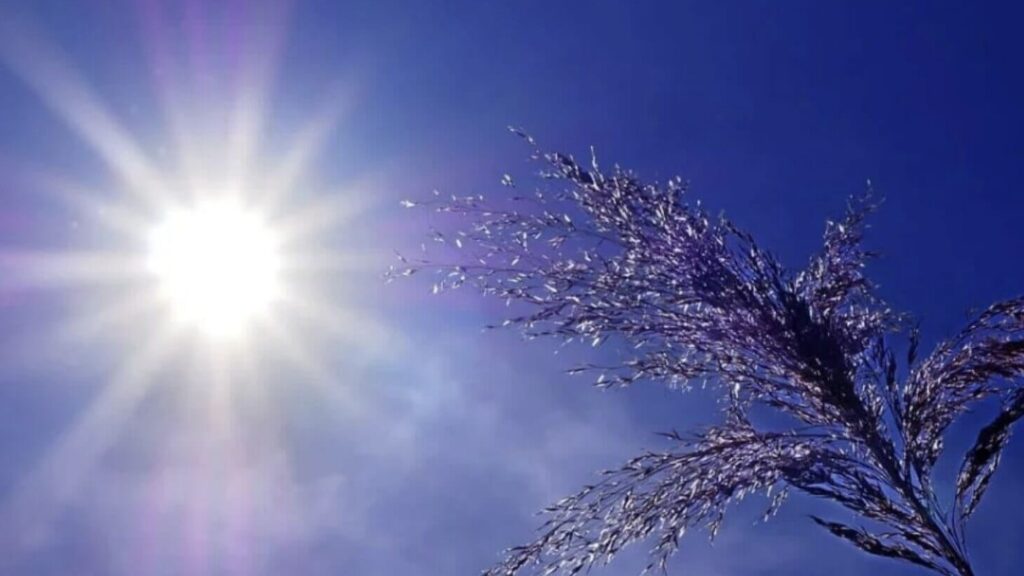 Météo du mardi 4 novembre : retour du soleil et nette douceur sur tout le pays