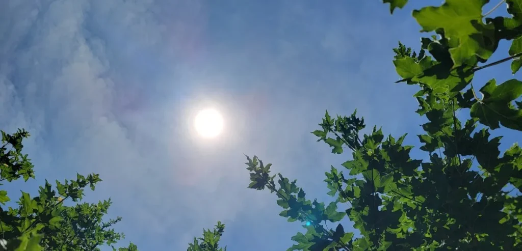 Une chaleur de mai en plein novembre - la France sous une douceur record