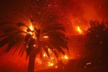 Congrès des maires et tribune choc : les Outre-mer rappellent à l’État que les crises qui ravagent l’Hexagone ont commencé chez eux