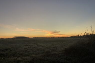 Météo du mercredi 5 novembre : douceur printanière et vent violent dans le sud-ouest