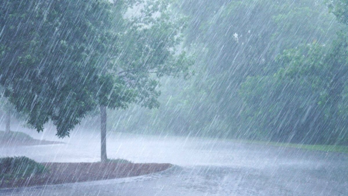 Pluie, vent et douceur remarquable ce dimanche