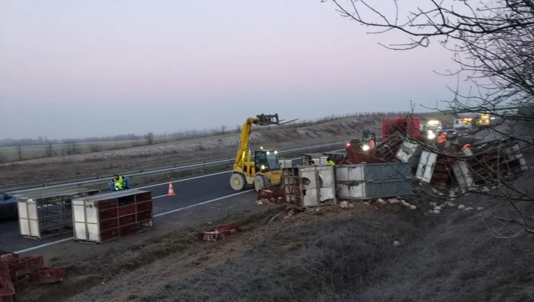 Sur l’autoroute A26, un camion se renverse et perd les 6 000 poulets qu’il transportait