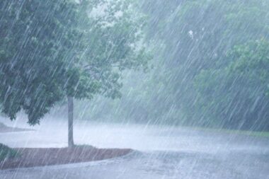 Pluie, vent et douceur remarquable ce dimanche