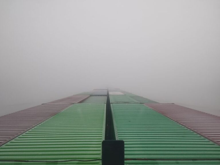 Gel généralisé et brouillards givrants, une journée d’hiver calme mais froide