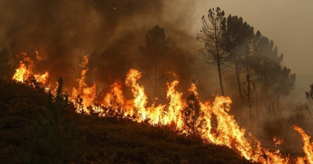 Catastrophes naturelles : malgré des événements majeurs, les pertes mondiales reculent nettement en 2025