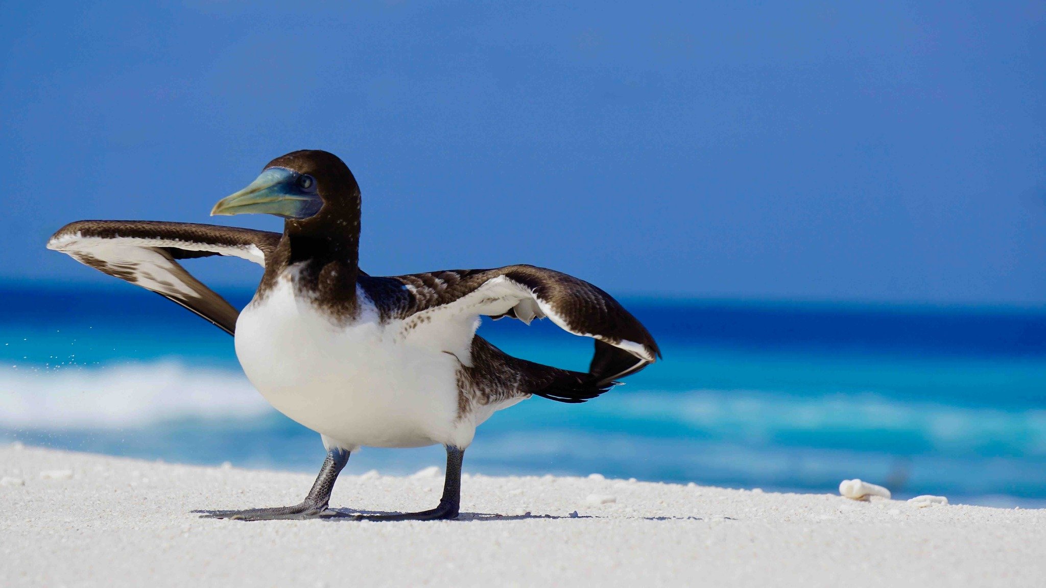 486046978_1036073635208284_111052304626300919_N