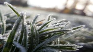 Gel matinal et soleil dominant, les brouillards résistent dans les plaines