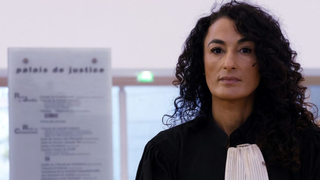 Avignon, procès de Mazan - l’avocate Nadia El Bouroumi sanctionnée après sa vidéo polémique