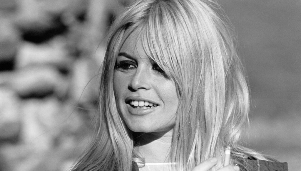 Brigitte Bardot - quatre maris, des passions et un mythe façonné par l’amour