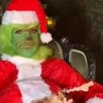 Céline Dion se grime en Grinch et s’amuse de Noël sur Instagram