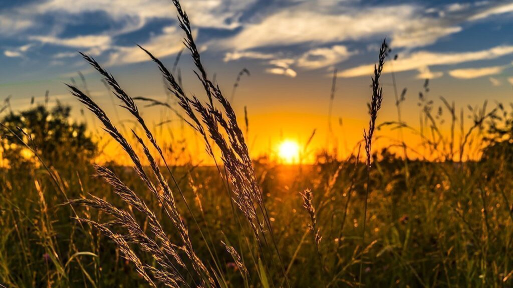 Climat : les étés pourraient durer 42 jours de plus d’ici à 2100