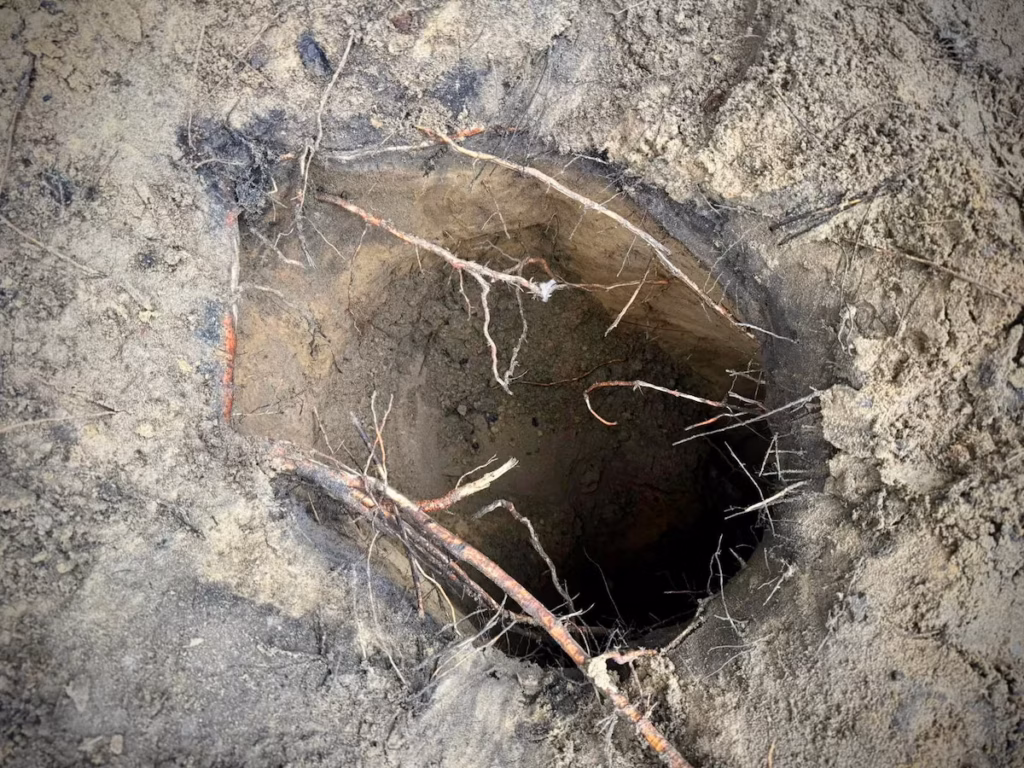 Des dizaines de migrants traversent la frontière biélorusse par un tunnel secret pour entrer en Pologne (AP)