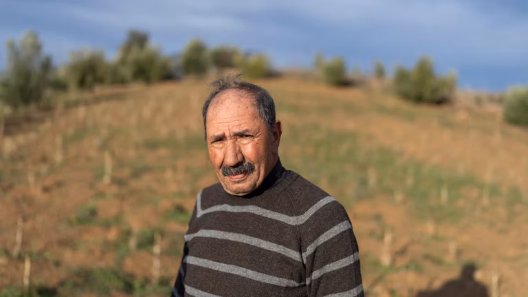 Du marché noir aux coopératives - le Maroc parie sur le cannabis légal pour transformer le Rif (AP)