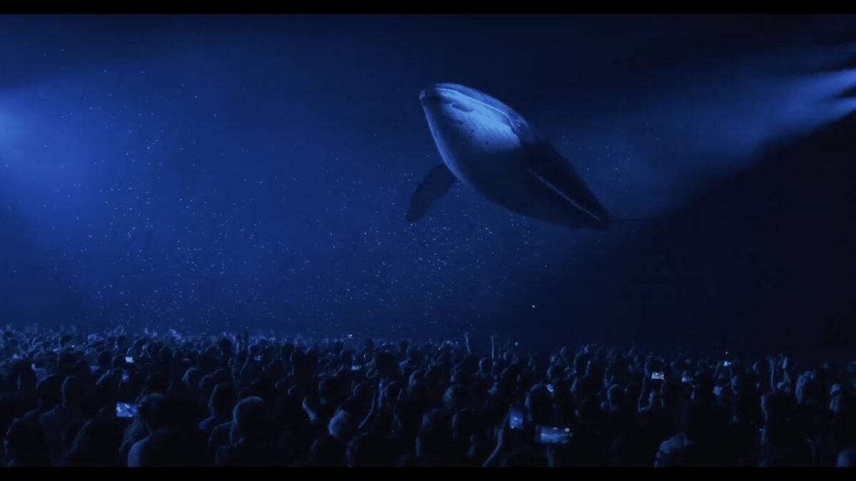 Julien Doré accuse Gojira d’avoir repris ses « baleines volantes » en concert