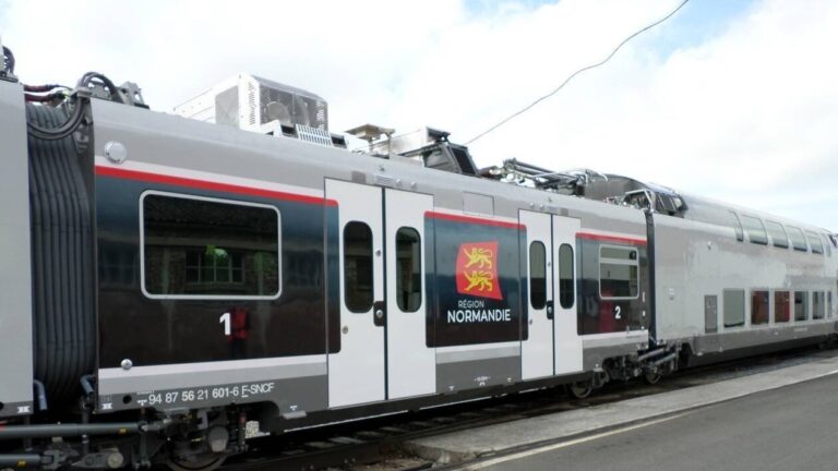 Un sanglier percuté, plus de deux heures d’arrêt pour un train reliant Paris-Cherbourg