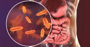 Pyrénées-Orientales - la vague de gastro-entérite qui a frappé un collège a gagné les familles