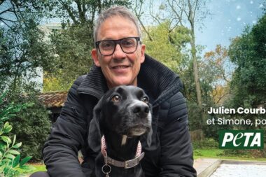 Julien Courbet s’associe à PETA pour appeler à ne jamais offrir d’animaux comme cadeaux de Noël. (PETA)