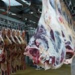 Un colis d’abats bovins reçu à la préfecture de Foix