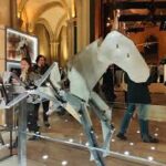 Zeus, le cheval des JO, trône au Musée des Arts et Métiers