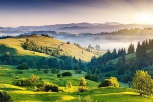 Environnement : pourquoi la prise de conscience ne suffit plus ?