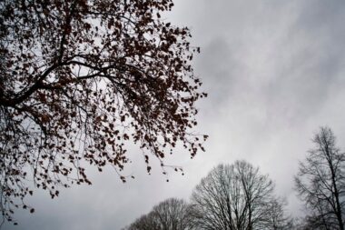 Grisaille tenace au nord, soleil généreux au sud : la douceur s’impose partout