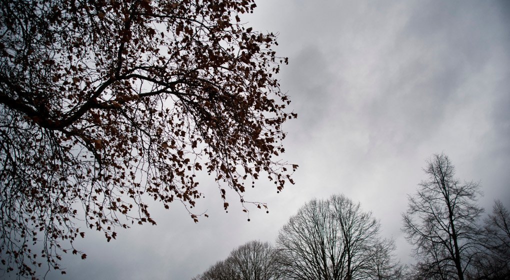 Grisaille tenace au nord, soleil généreux au sud : la douceur s’impose partout