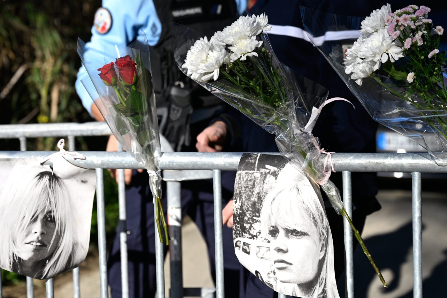 Brigitte Bardot sera enterrée au cimetière marin de Saint-Tropez. (AP)