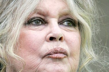 Brigitte Bardot, derniers vœux à sa fondation : “le combat continuera”