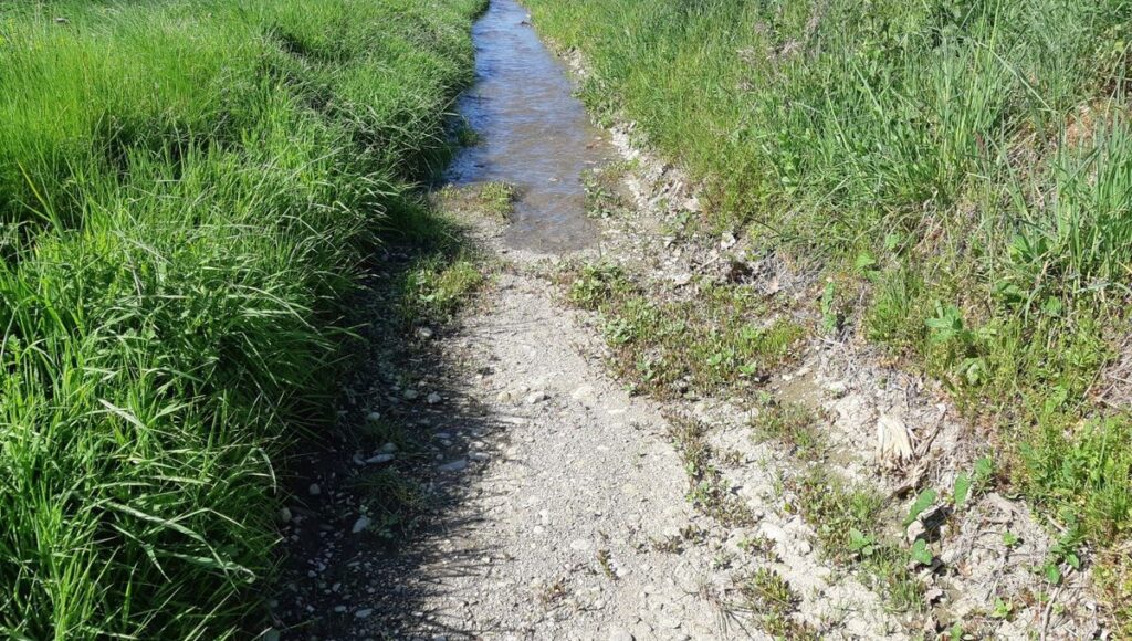 Les nappes phréatiques se remplissent en France, mais l’alerte persiste dans le Roussillon