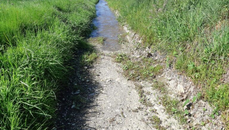 Les nappes phréatiques se remplissent en France, mais l’alerte persiste dans le Roussillon