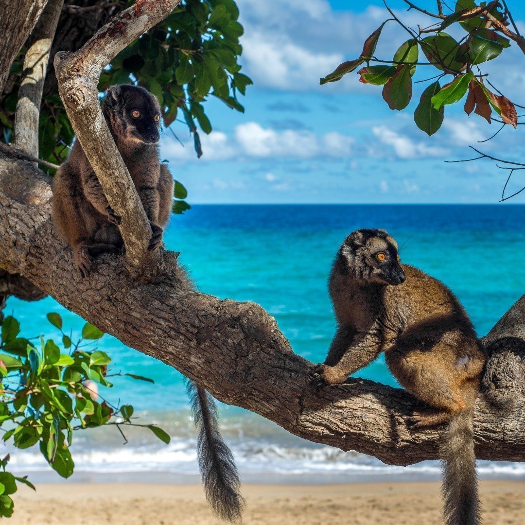 310476059_3426548374247674_5739131835085723141_N