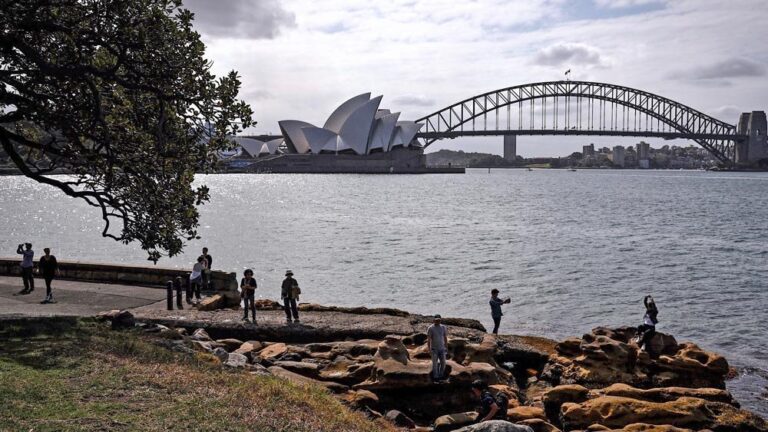 Australie : dans le port de Sydney, un adolescent de 13 ans a été mordu par un requin