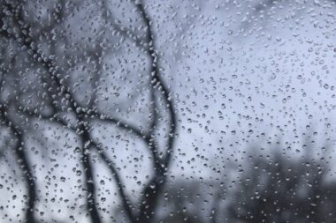 Fin du froid et retour de la pluie : la France bascule dans le redoux