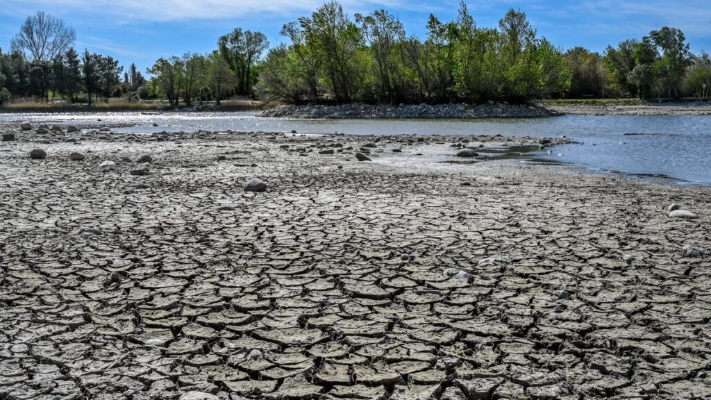Dans les Pyrénées-Orientales, la pluie desserre enfin l’étau de la sécheresse