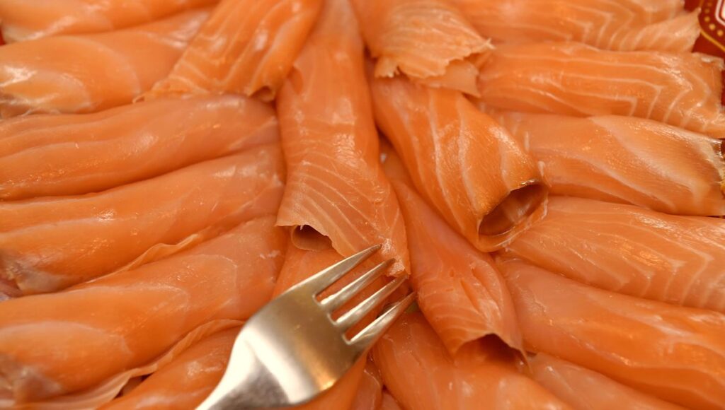 Élevage intensif du saumon : la pression monte pour bloquer les méga-projets industriels